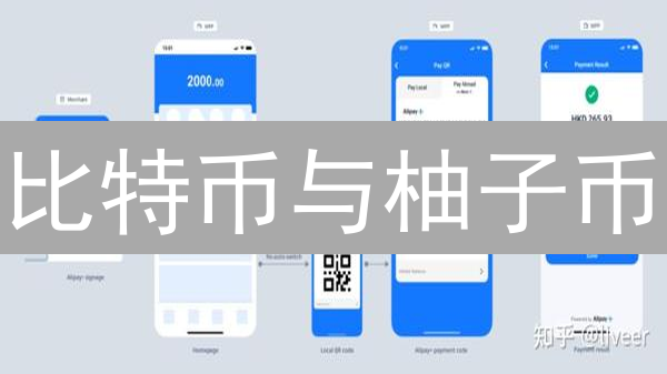 比特币与柚子币：跨境支付挑战与机遇分析