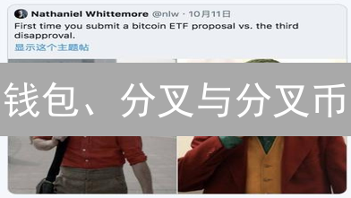 钱包、分叉与分叉币：全面解析加密货币分叉知识