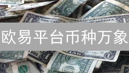 欧易平台币种万象：主流小众币，探索加密货币无限可能