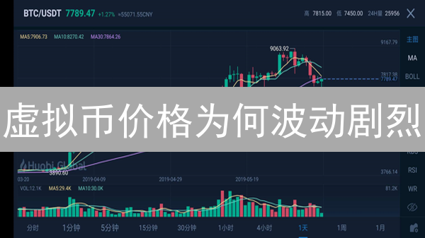 虚拟币价格为何波动剧烈？成因、影响及未来趋势分析！