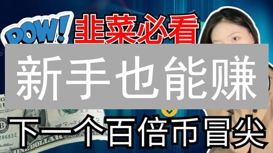新手也能赚？火币币安加密货币投资策略详解！