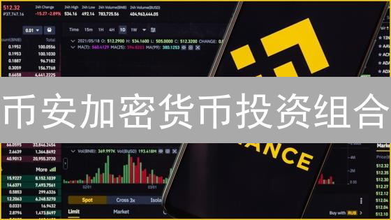 币安加密货币投资组合：新手如何构建？避坑指南！