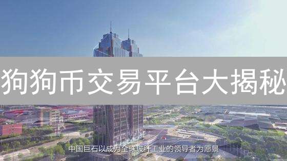 狗狗币交易平台大揭秘：新手必看！😱 (2024)