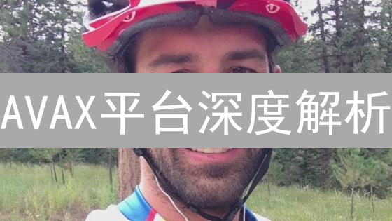 AVAX平台深度解析：速度、定制与风险并存？抓住下一个爆发点！