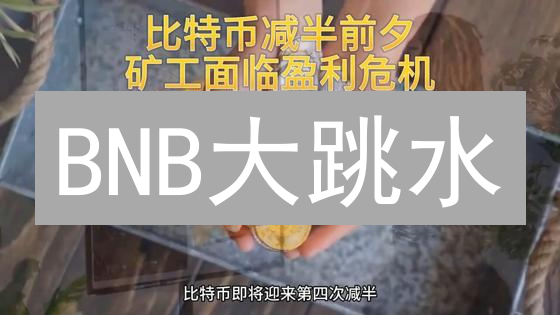 BNB大跳水？解密币安币未来涨跌的惊天秘密！
