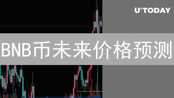 BNB币未来价格预测：抓住币安币投资机遇！