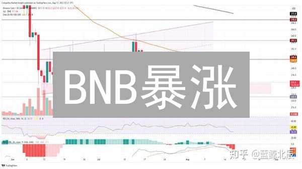 BNB暴涨？流通量、销毁机制与价格的终极猜想！