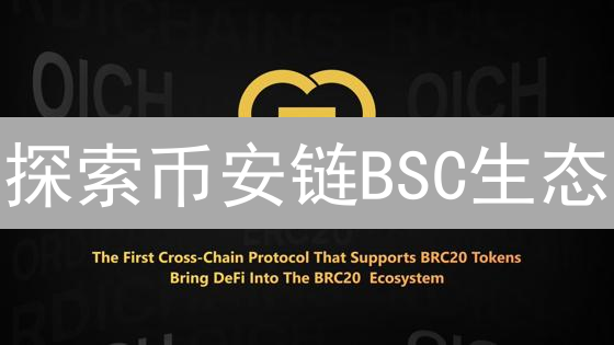 探索币安链BSC生态：DeFi与NFT项目推荐及未来机遇分析