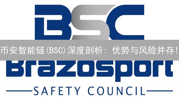 币安智能链(BSC)深度剖析: 优势与风险并存!