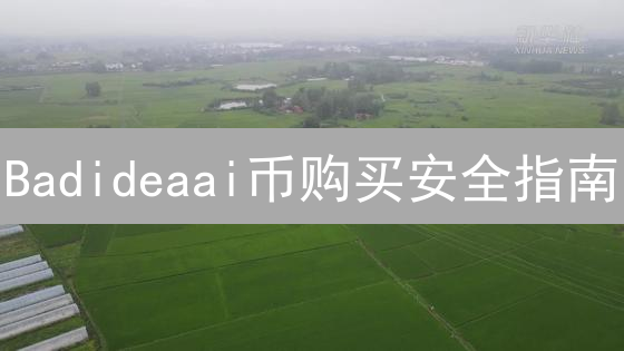 Badideaai币购买安全指南：风险分析、平台选择与安全防范措施