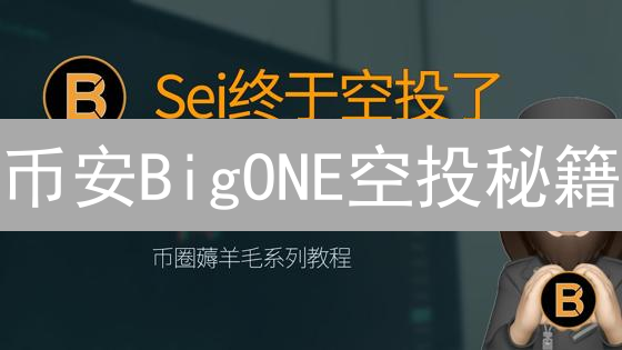 币安BigONE空投秘籍：免费领币，躺赚攻略大揭秘！