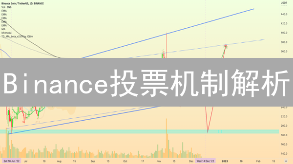 Binance投票机制解析：加密货币权力分配的游戏规则