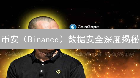 币安（Binance）数据安全深度揭秘：交易安全背后的秘密武器！