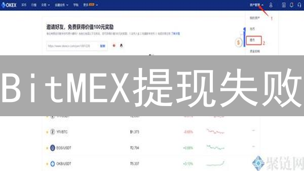 BitMEX提现失败？4步解决！老牌交易所提币指南