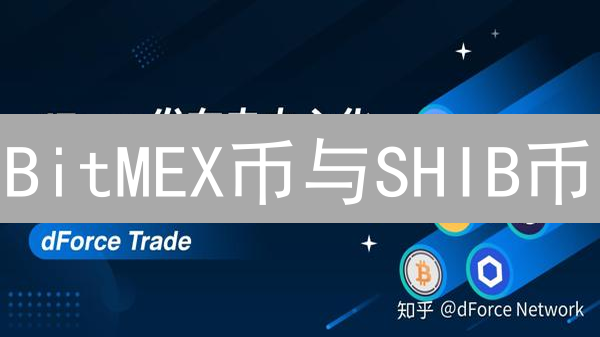 BitMEX币与SHIB币：中心化与去中心化迷因币的对比分析
