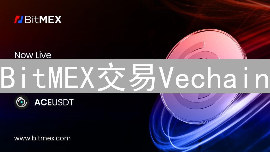 BitMEX交易Vechain：安全考量与替代方案深度解析