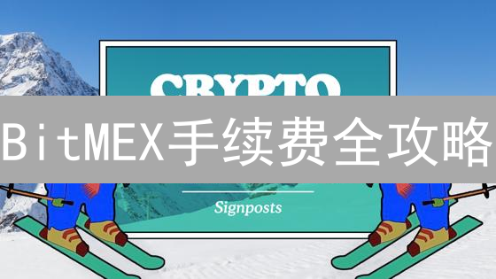 BitMEX手续费全攻略：高杠杆交易省钱秘籍！