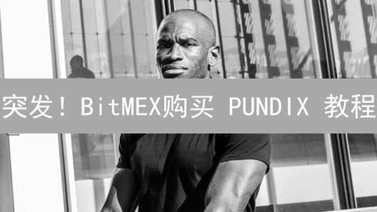 突发！BitMEX购买 PUNDIX 教程：手把手教你避免 NPXS 代币陷阱！