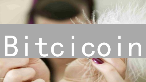 Bitcicoin：下一个百倍币？深入解读其潜力与挑战！