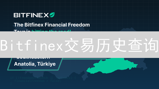Bitfinex交易历史查询：追踪投资与审计指南