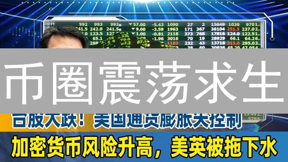 币圈震荡求生：火币、Bitfinex 如何玩转风控？