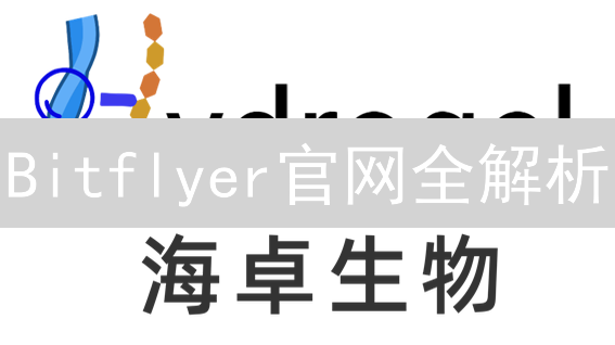 Bitflyer官网全解析：新手也能轻松玩转？