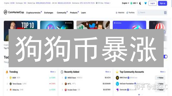 狗狗币暴涨？Bithumb深度分析：把握DOGE交易先机！