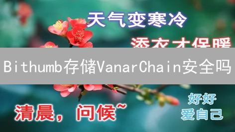 Bithumb存储VanarChain安全吗？安全性深度分析