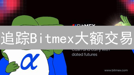 追踪Bitmex大额交易：揭秘币圈巨鲸动向，抓住暴富机遇！