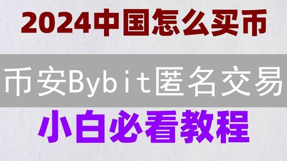 币安Bybit匿名交易：迷雾中的加密货币自由之舞