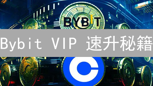 Bybit VIP 速升秘籍：解锁特权，告别韭菜！