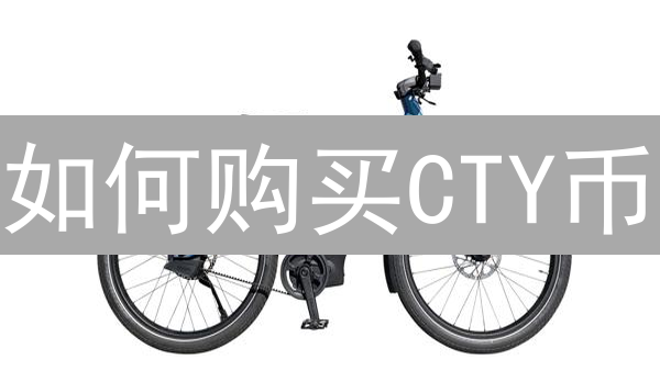 如何购买CTY币：新手投资指南与平台选择建议