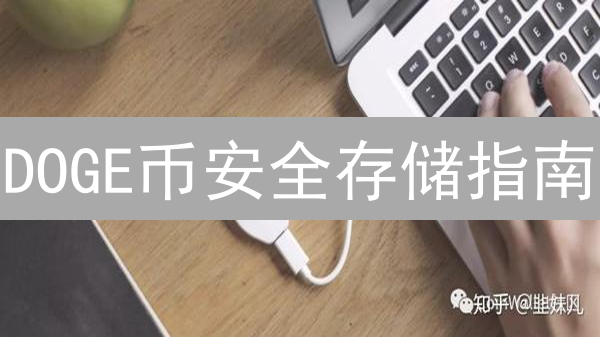 DOGE币安全存储指南：硬件钱包、冷存储方案全攻略