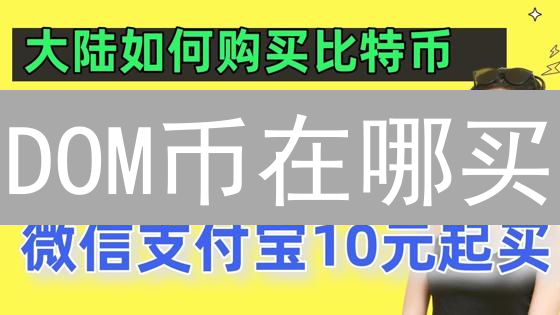 DOM币在哪买？新手投资DOM币交易平台终极指南！