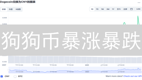 狗狗币暴涨暴跌？深度解析Doge币最新行情与未来趋势！