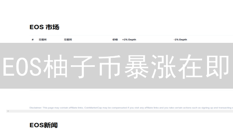 EOS柚子币暴涨在即？Bybit入场指南，新手必看！