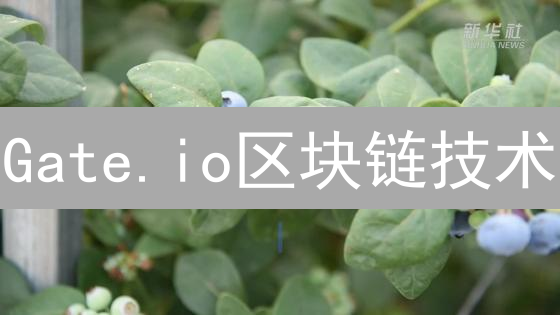 Gate.io区块链技术：数字未来基石
