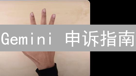 Gemini 申诉指南：维权全攻略，助你成功挽回损失！