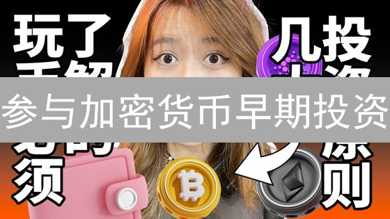 参与加密货币早期投资：借鉴币安ICO模式