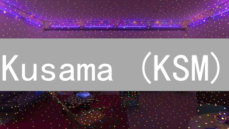 Kusama (KSM)：高风险or高回报？早期玩家的机会！