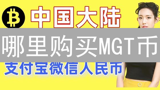 哪里购买MGT币？全面指南与深度分析
