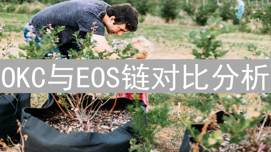 OKC与EOS链对比分析：架构、共识机制及应用场景差异