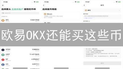 欧易OKX还能买这些币？2024年虚拟货币交易平台选择指南！