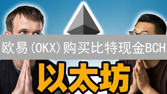 欧易(OKX)购买比特现金BCH？这5种支付方式你选对了吗？