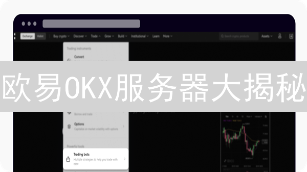 欧易OKX服务器大揭秘：速度、安全与隐私的终极指南！