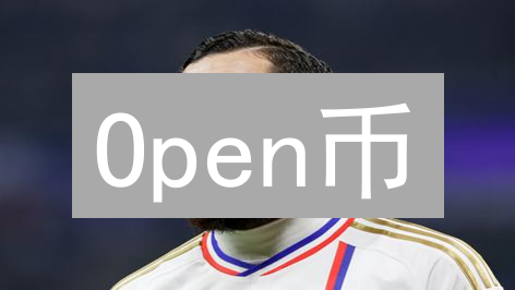 Open币：构建开放透明的去中心化金融生态系统