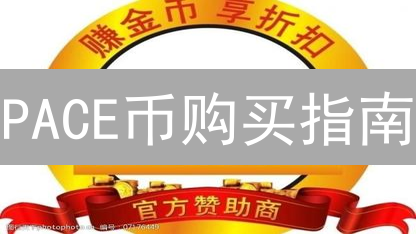 PACE币购买指南：途径、风险与注意事项详解