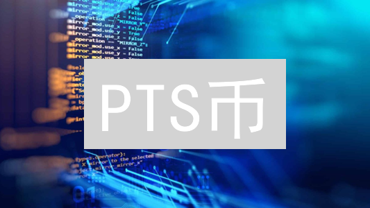 PTS币：概念、特性与应用场景的猜想与解读