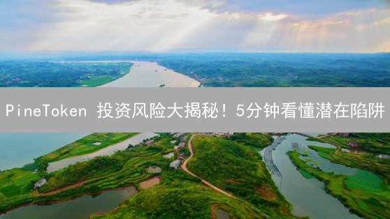 PineToken 投资风险大揭秘！5分钟看懂潜在陷阱