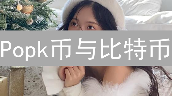 Popk币与比特币：应用场景深度对比分析